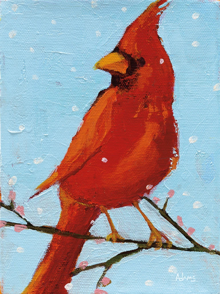 Cardinal II by Phyllis Adams