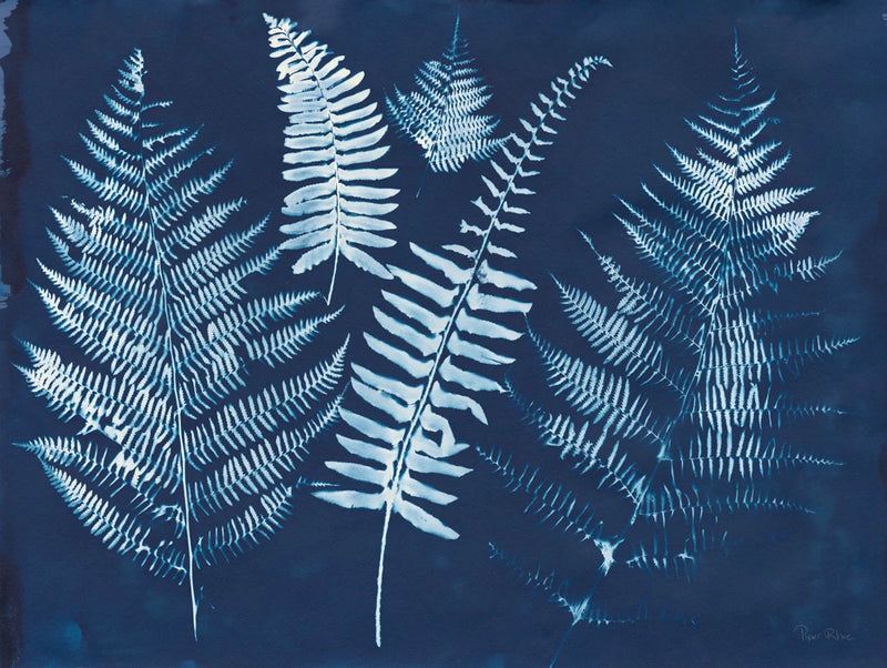 Nature By The Lake - Ferns I by Piper Rhue