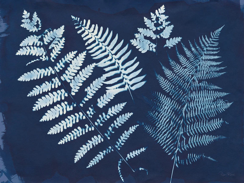 Nature By The Lake - Ferns II by Piper Rhue