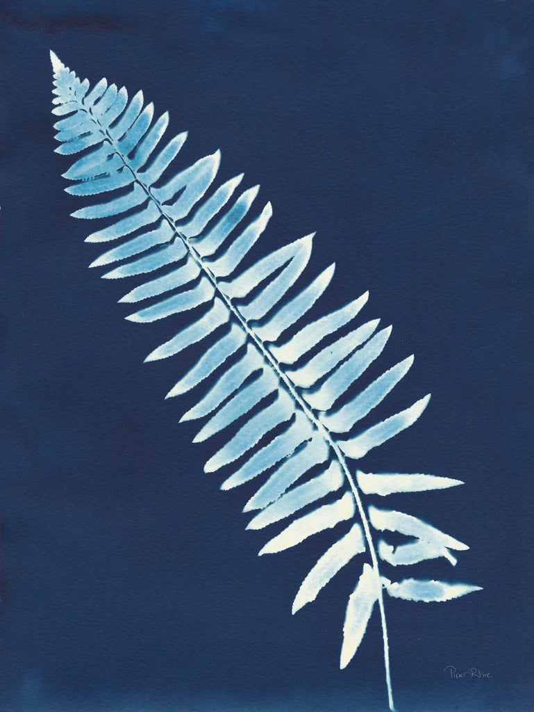 Nature By The Lake - Ferns IV by Piper Rhue