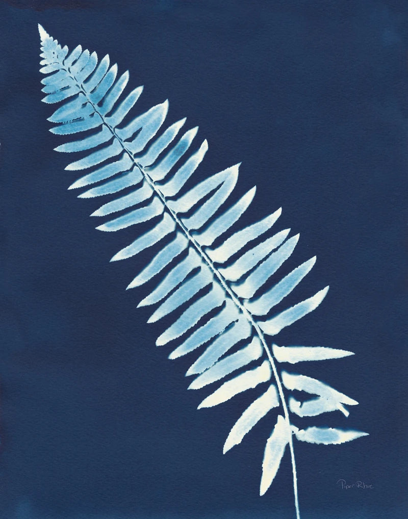 Nature By The Lake - Ferns IV Crop by Piper Rhue