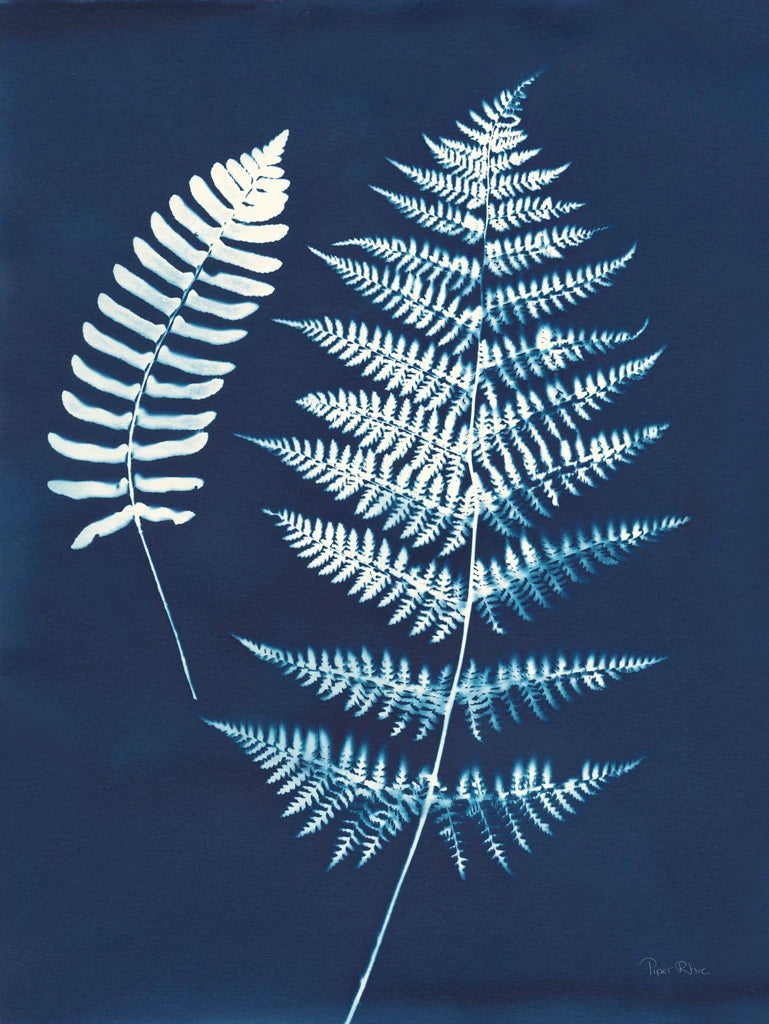 Nature By The Lake - Ferns V by Piper Rhue