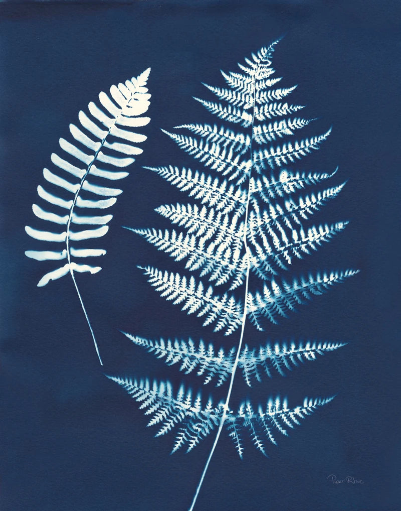 Nature By The Lake - Ferns V Crop by Piper Rhue