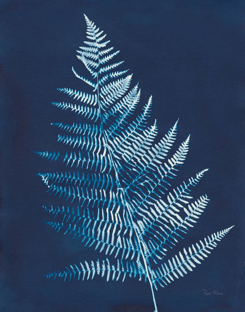 Nature By The Lake - Ferns VI Crop by Piper Rhue