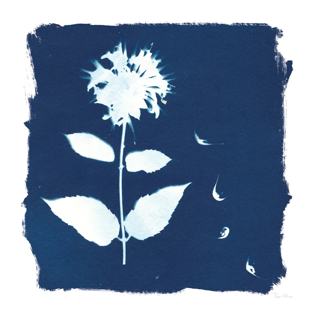 Nature By The Lake - Flowers II by Piper Rhue. SKU 50090a. Archival Giclee Fine art print for wall decor.