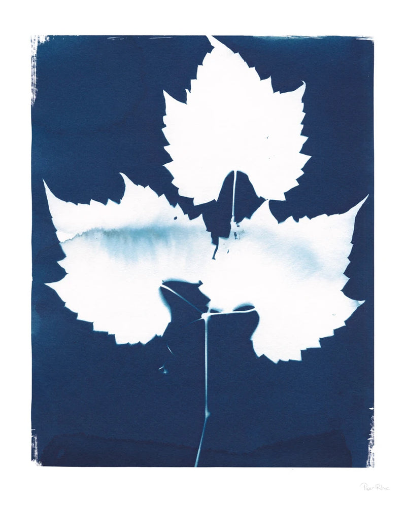 Nature By The Lake - Leaves I by Piper Rhue