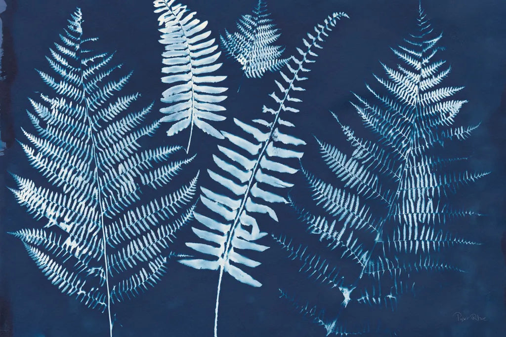 Nature by the Lake Ferns I Crop by Piper Rhue. SKU 50083i. Archival Giclee Fine art print for wall decor.