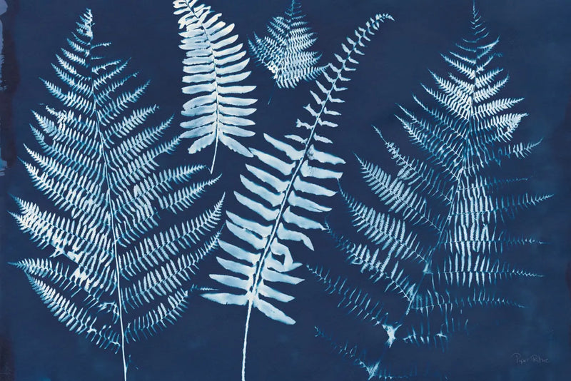 Nature by the Lake Ferns I Crop by Piper Rhue. SKU 50083i. Archival Giclee Fine art print for wall decor.