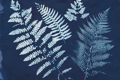 Nature by the Lake Ferns II Crop by Piper Rhue. SKU 50084i. Archival Giclee Fine art print for wall decor.