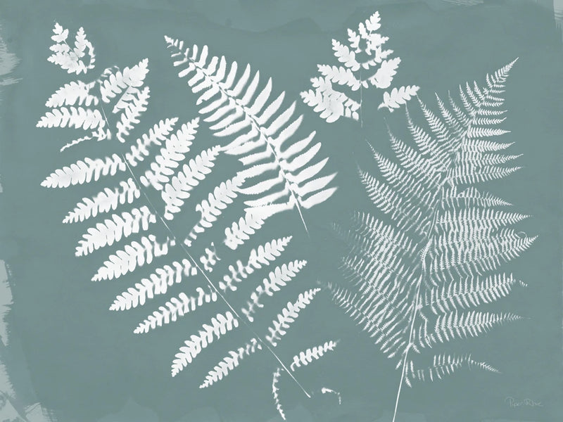 Nature by the Lake Ferns II Gray Mist by Piper Rhue