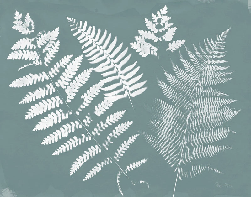 Nature by the Lake Ferns II Gray Mist Crop by Piper Rhue