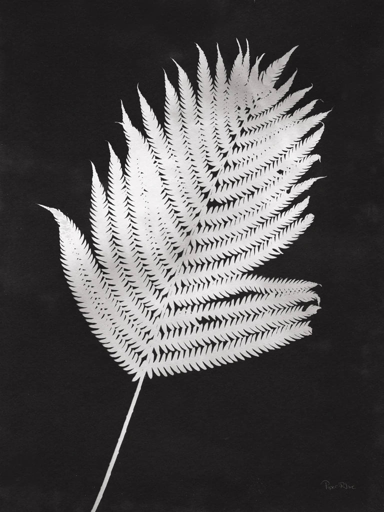 Nature by the Lake Ferns III Black by Piper Rhue