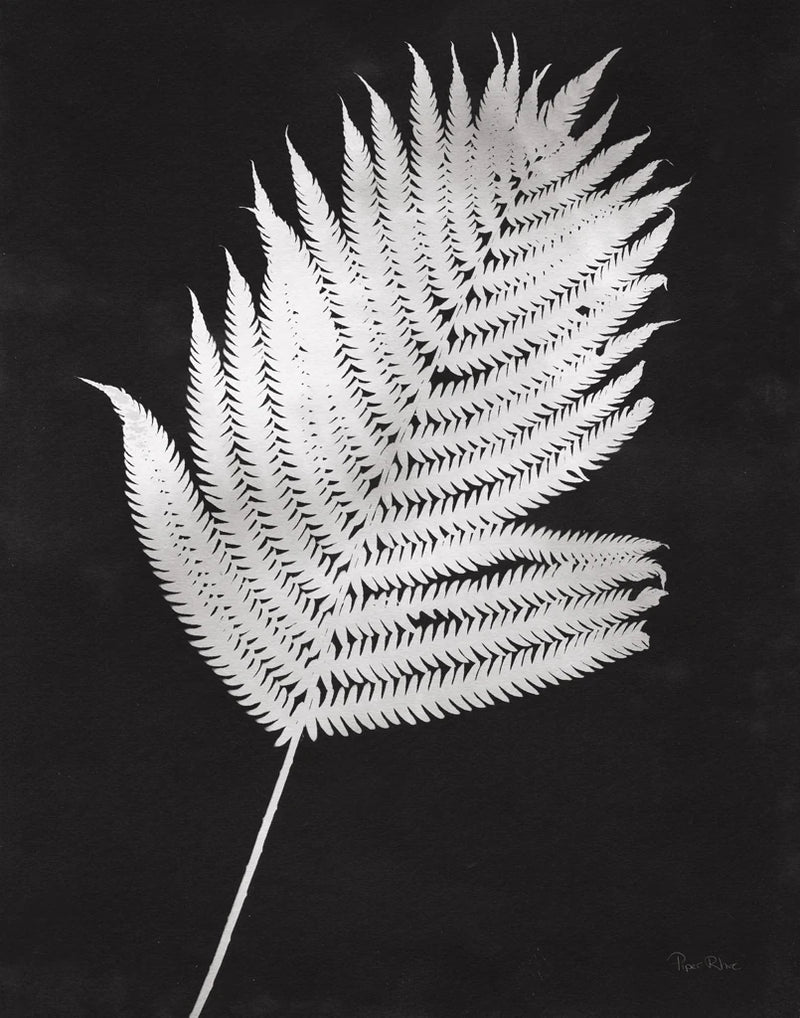 Nature by the Lake Ferns III Black Crop by Piper Rhue