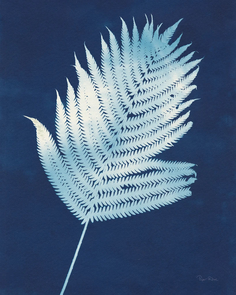 Nature by the Lake Ferns III Crop by Piper Rhue