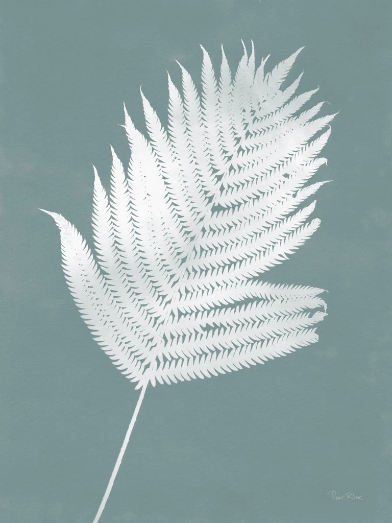 Nature by the Lake Ferns III Gray Mist by Piper Rhue