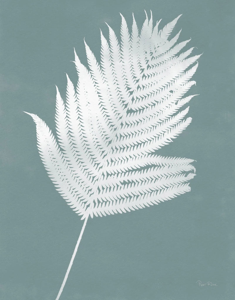 Nature by the Lake Ferns III Gray Mist Crop by Piper Rhue