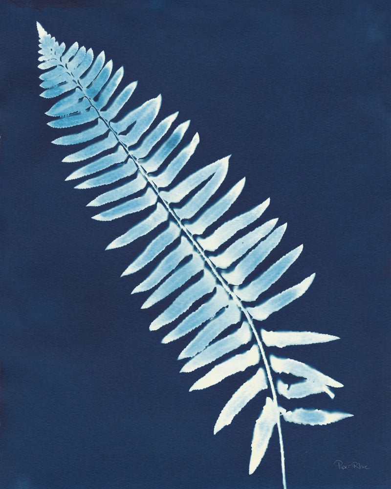 Nature by the Lake Ferns IV Crop by Piper Rhue