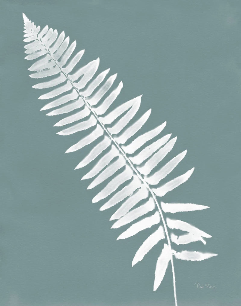 Nature by the Lake Ferns IV Gray Mist Crop by Piper Rhue