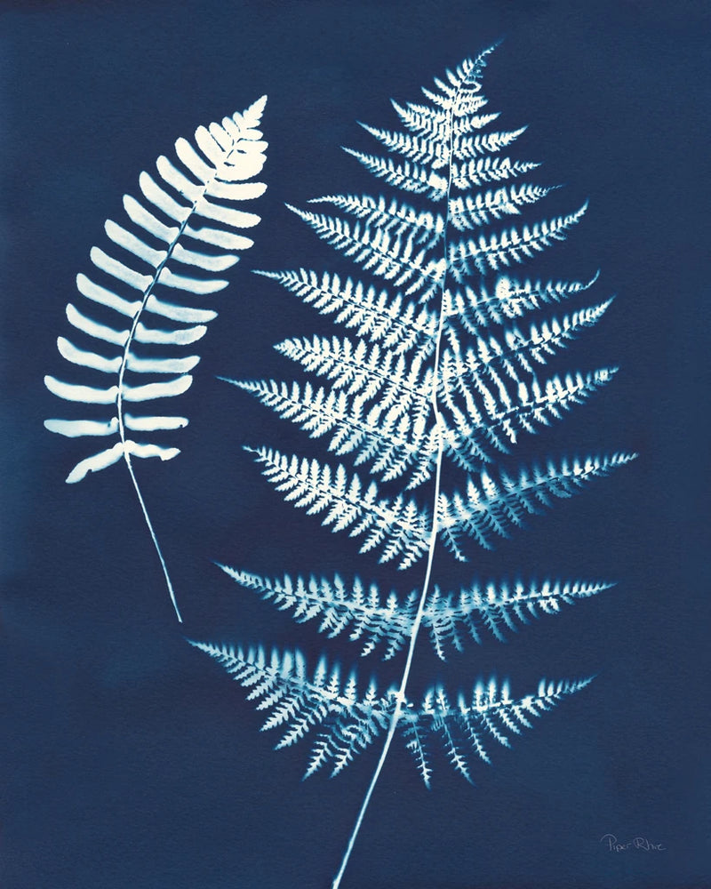 Nature by the Lake Ferns V Crop by Piper Rhue
