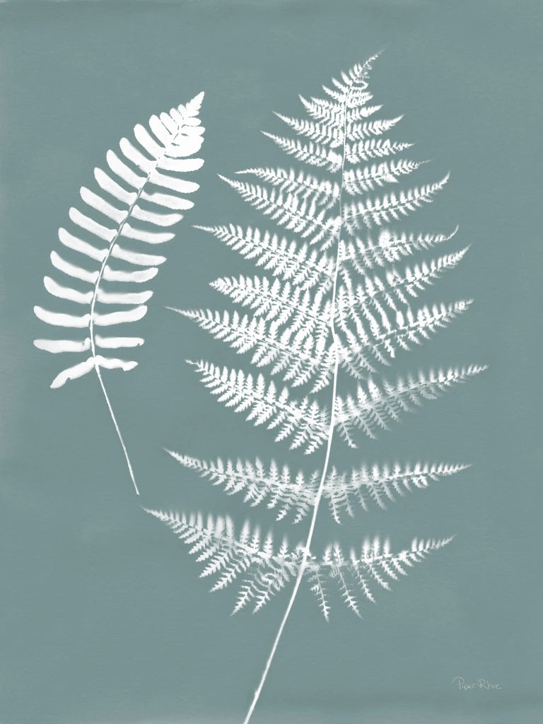 Nature by the Lake Ferns V Gray Mist by Piper Rhue