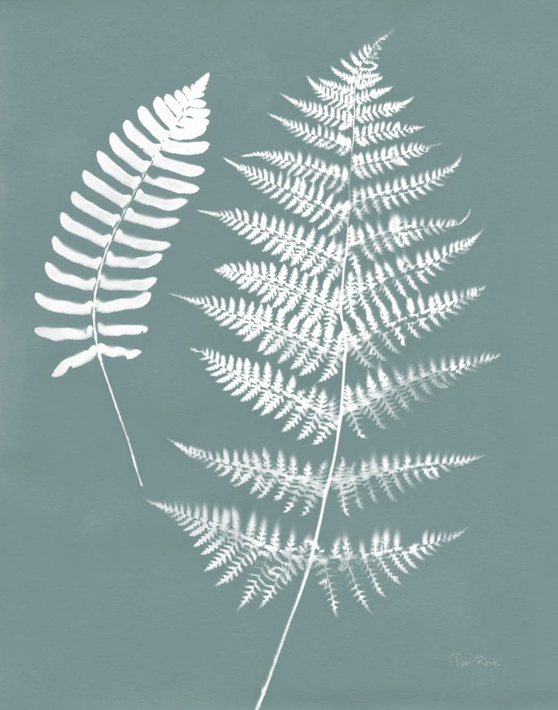 Nature by the Lake Ferns V Gray Mist Crop by Piper Rhue