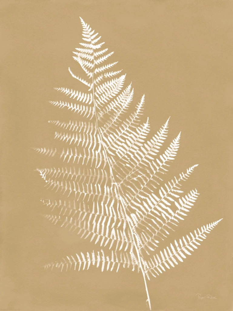 Nature by the Lake Ferns VI Brown by Piper Rhue