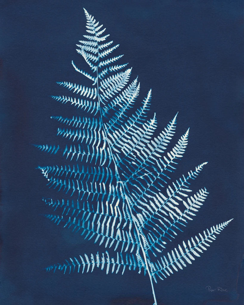 Nature by the Lake Ferns VI Crop by Piper Rhue