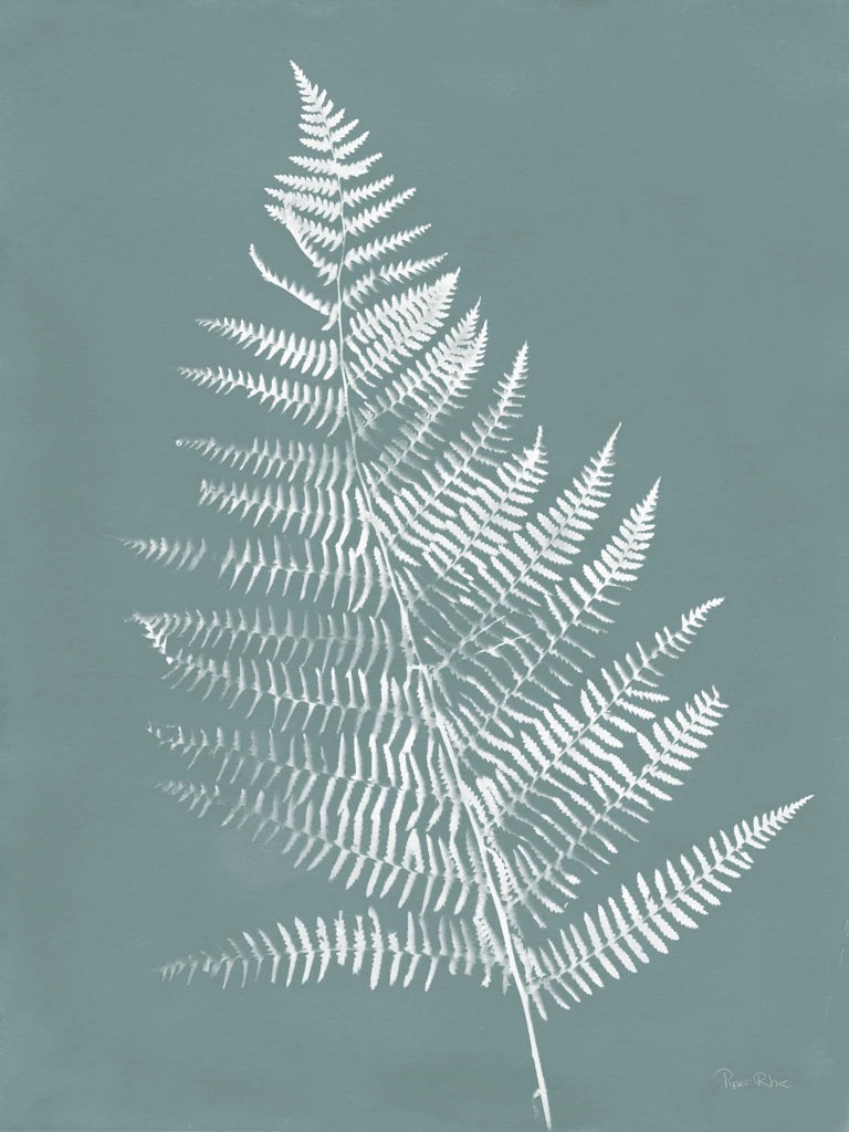 Nature by the Lake Ferns VI Gray Mist by Piper Rhue