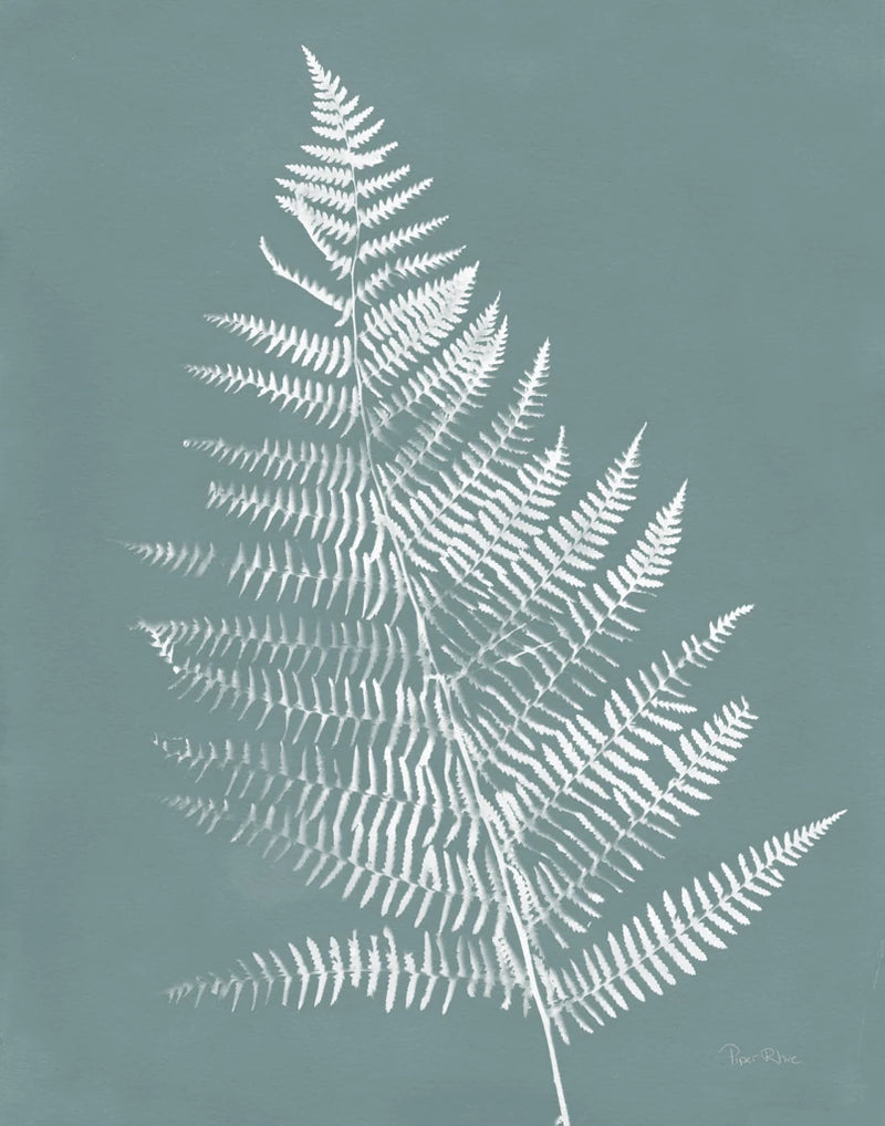 Nature by the Lake Ferns VI Gray Mist Crop by Piper Rhue