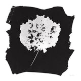 Nature by the Lake Flowers I Black by Piper Rhue. SKU 51199a. Archival Giclee Fine art print for wall decor.
