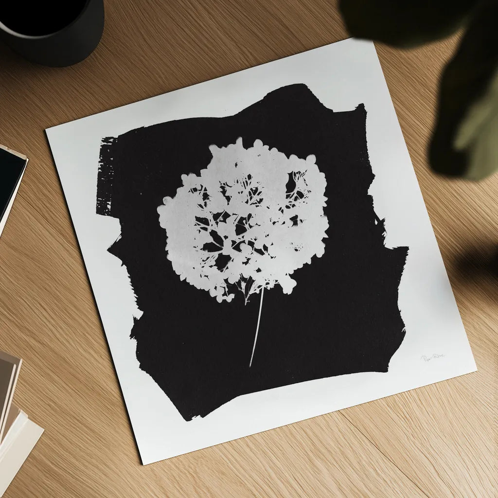 Nature by the Lake Flowers I Black by Piper Rhue. Shown as a detailed flat fine art print, highlighting archival giclee quality. Available as an archival giclee rolled canvas, fine art paper, or poster print. SKU 51199a.