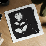 Nature by the Lake Flowers II Black by Piper Rhue. Shown as a detailed flat fine art print, highlighting archival giclee quality. Available as an archival giclee rolled canvas, fine art paper, or poster print. SKU 51200a.