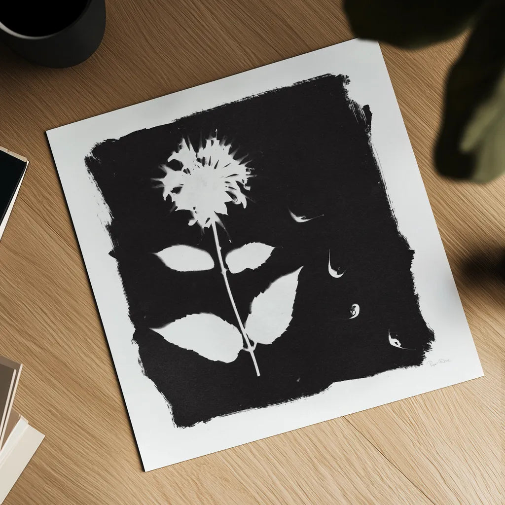 Nature by the Lake Flowers II Black by Piper Rhue. Shown as a detailed flat fine art print, highlighting archival giclee quality. Available as an archival giclee rolled canvas, fine art paper, or poster print. SKU 51200a.