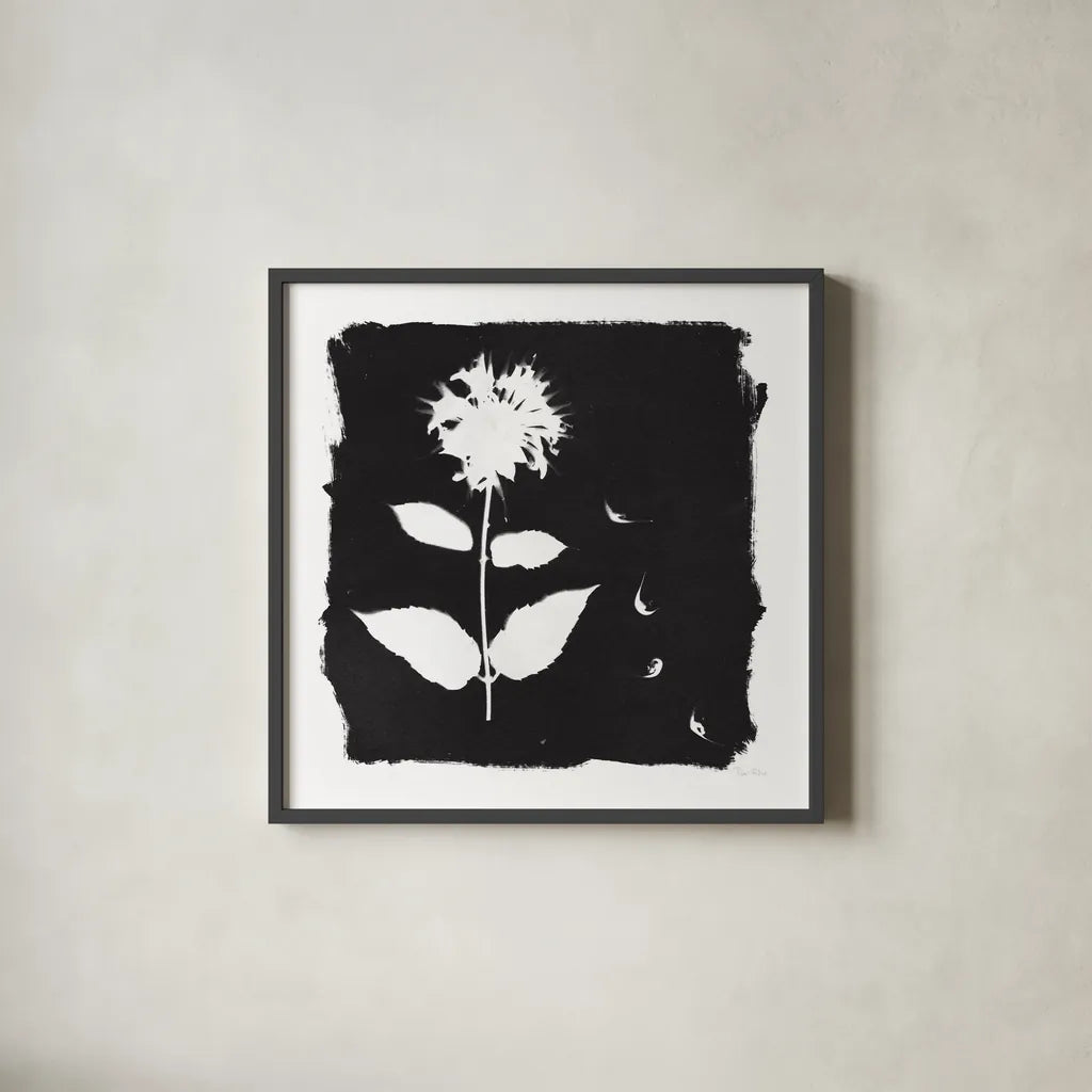 Nature by the Lake Flowers II Black by Piper Rhue. Shown in a sleek black glass frame for a contemporary gallery look. Available as an archival giclee rolled canvas, fine art paper, or poster print. SKU 51200a.