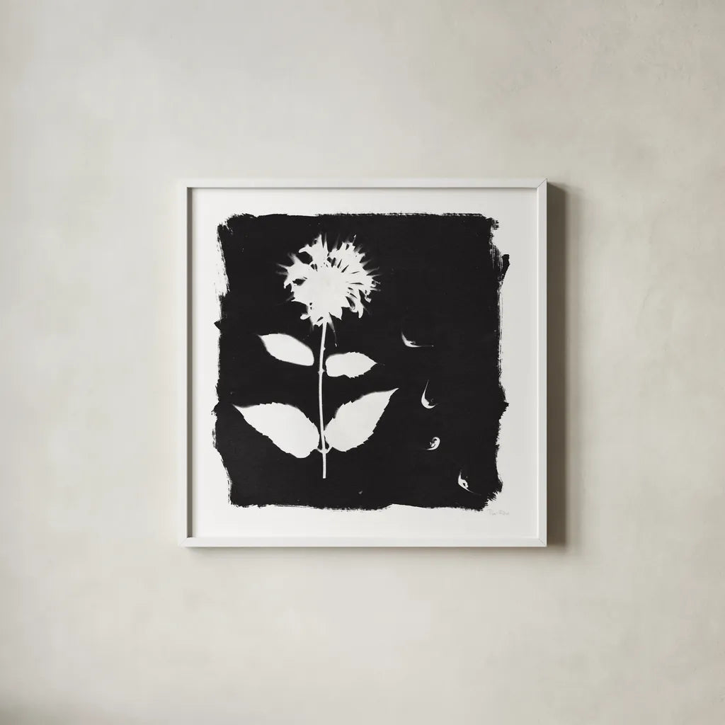 Nature by the Lake Flowers II Black by Piper Rhue. Shown in a crisp white glass frame for a clean and minimalist style. Available as an archival giclee rolled canvas, fine art paper, or poster print. SKU 51200a.