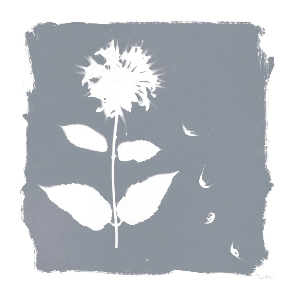 Nature by the Lake Flowers II Neutral by Piper Rhue. SKU 71830a. Archival Giclee Fine art print for wall decor.