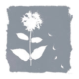 Nature by the Lake Flowers II Neutral by Piper Rhue. SKU 71830a. Archival Giclee Fine art print for wall decor.
