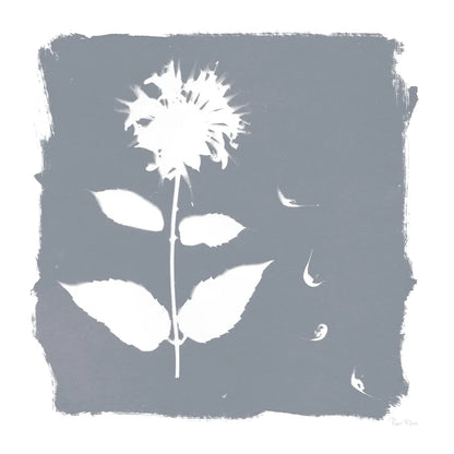 Nature by the Lake Flowers II Neutral by Piper Rhue. SKU 71830a. Archival Giclee Fine art print for wall decor.