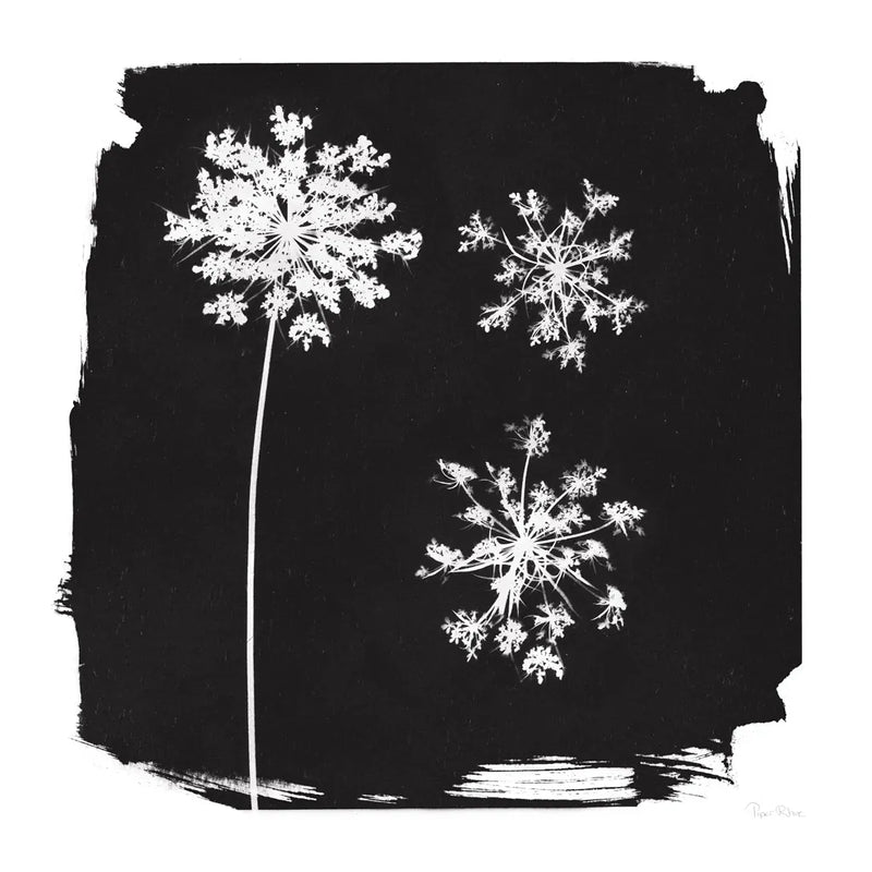 Nature by the Lake Flowers III Black by Piper Rhue. SKU 51201a. Archival Giclee Fine art print for wall decor.