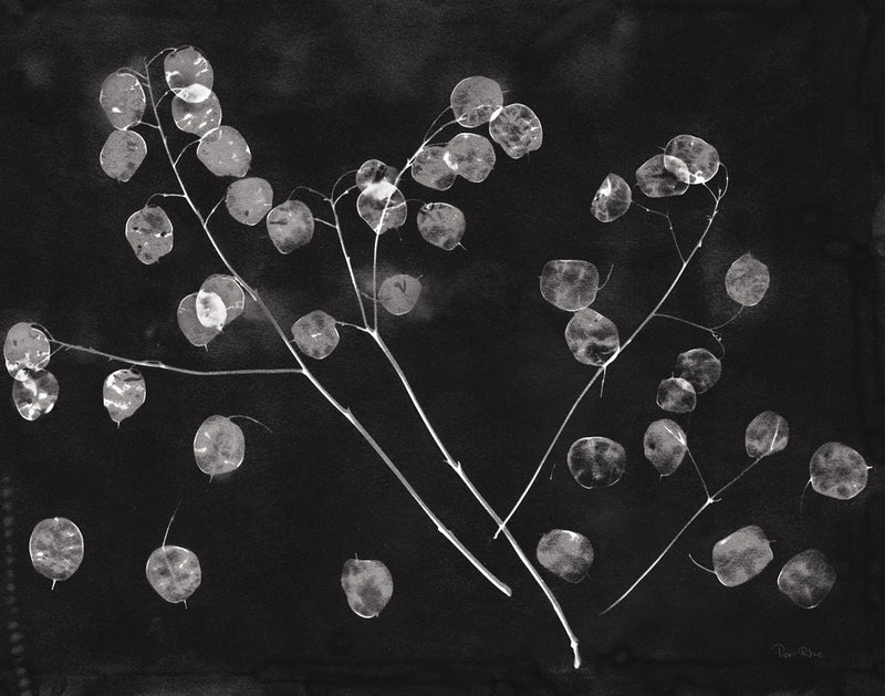 Nature by the Lake Honesty Black Crop by Piper Rhue