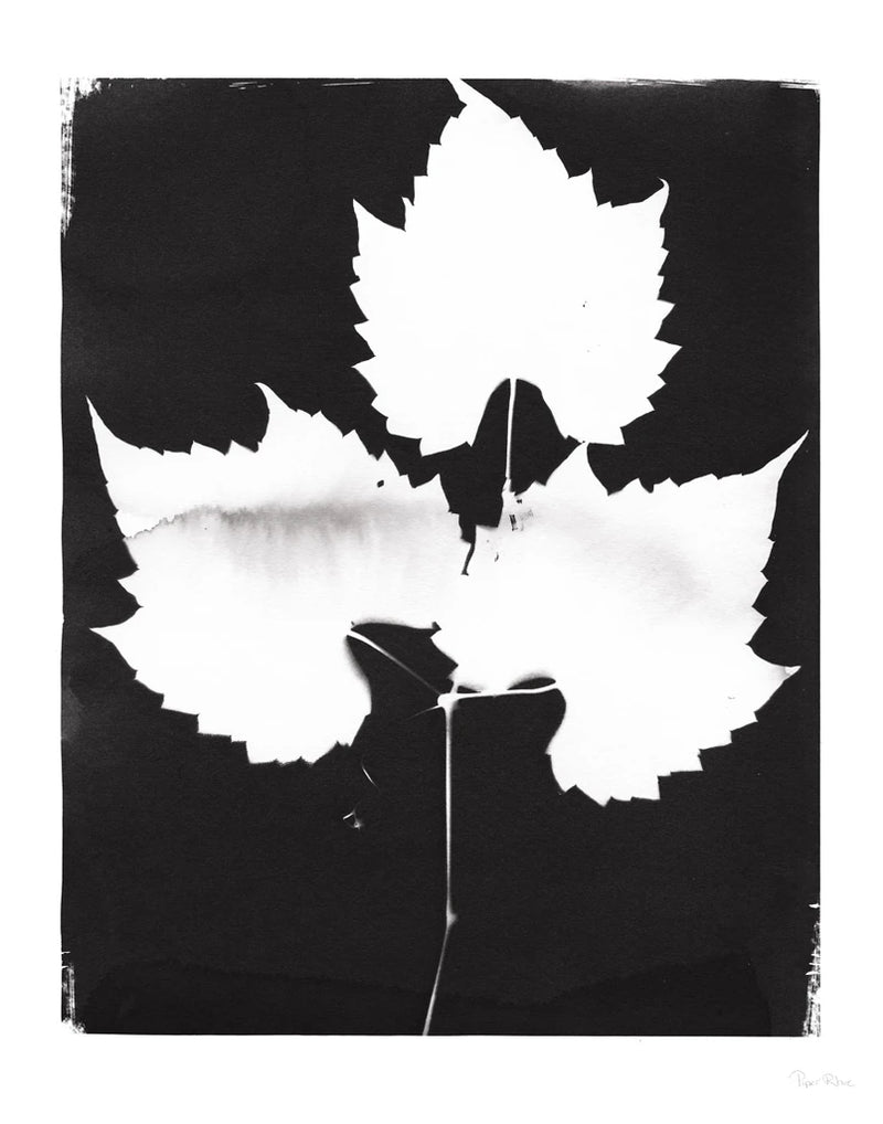 Nature by the Lake Leaves I Black by Piper Rhue