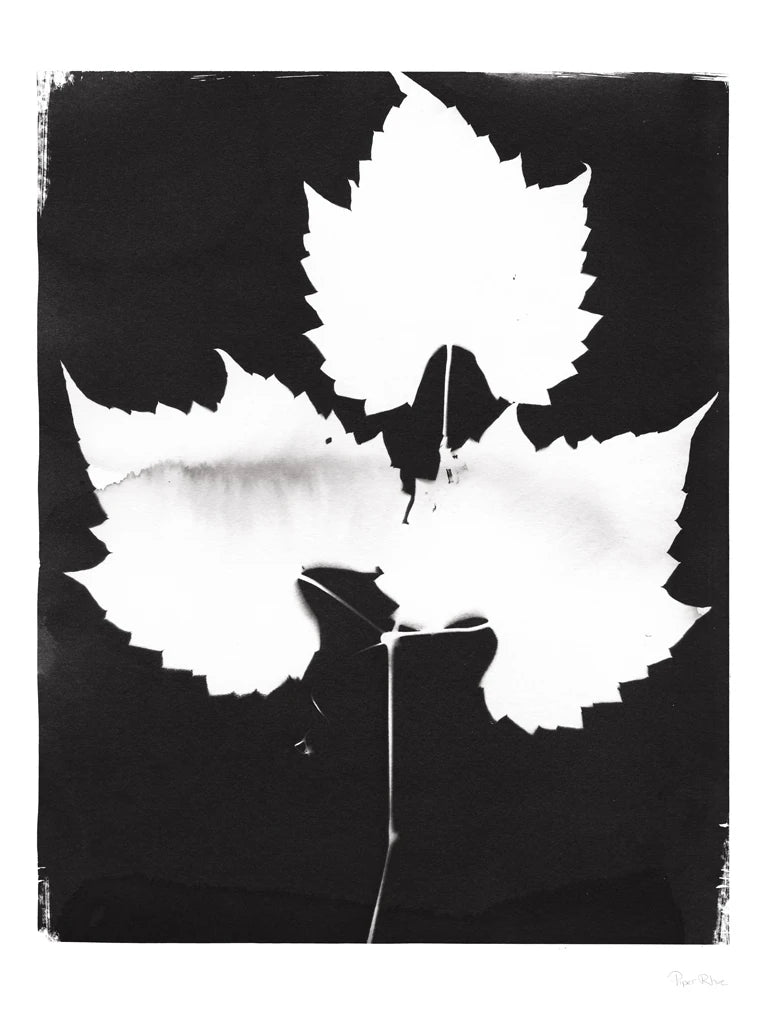 Nature by the Lake Leaves I Black by Piper Rhue