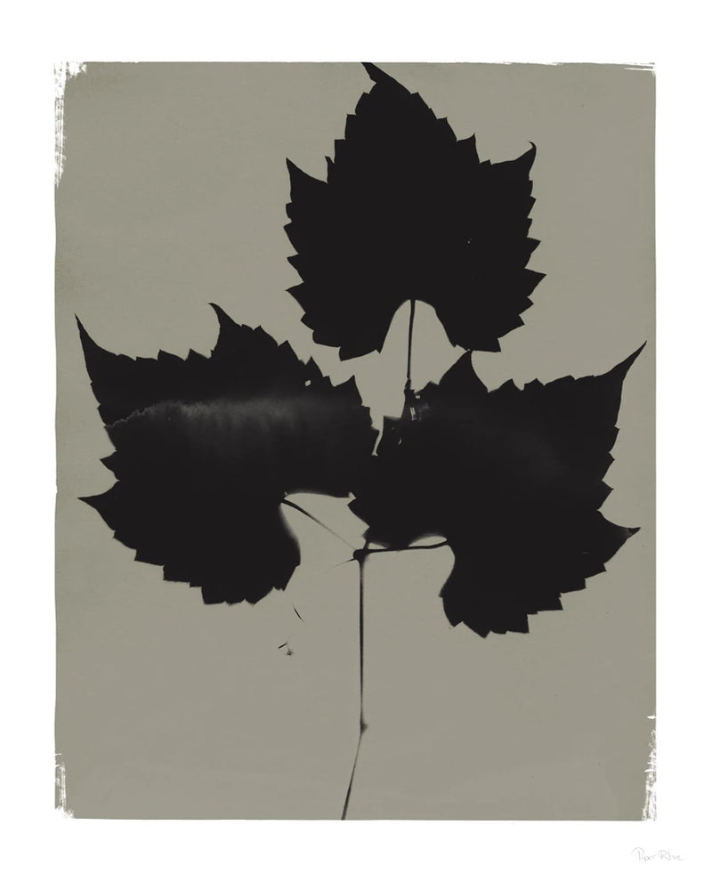 Nature by the Lake Leaves I Gray by Piper Rhue