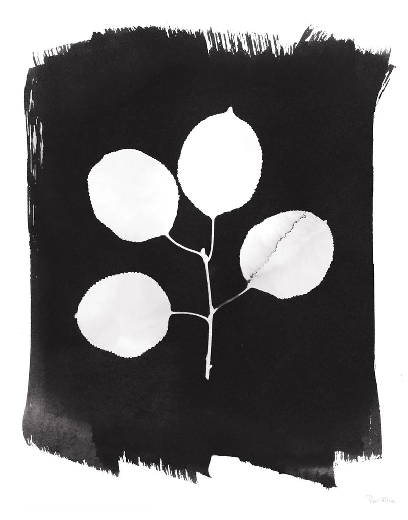Nature by the Lake Leaves II Black by Piper Rhue