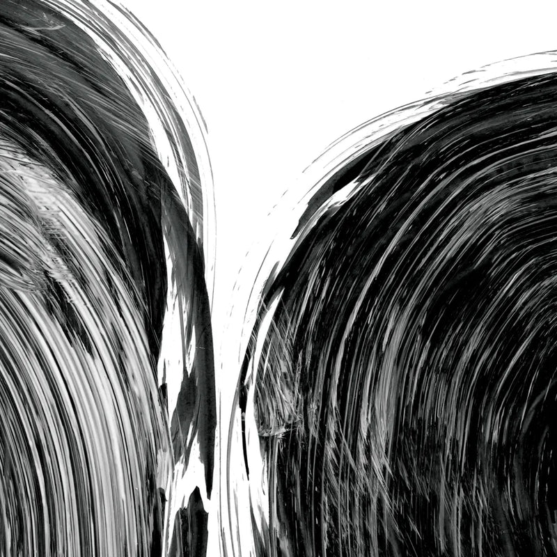 Swirl I BW by Piper Rhue. SKU 86081a. Archival Giclee Fine art print for wall decor.