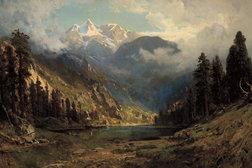 California Pines by Public Domain. SKU 95529i. Archival Giclee Fine art print for wall decor.