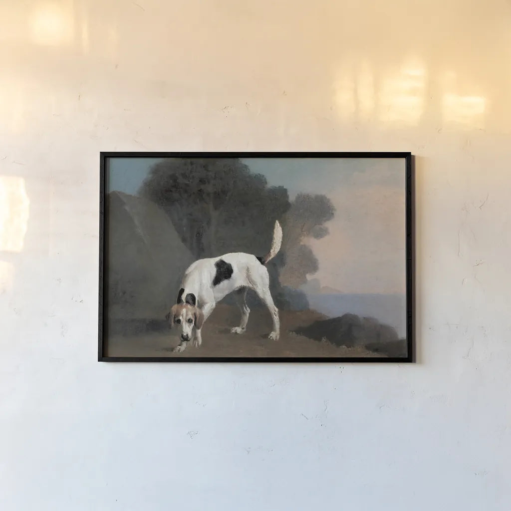 Foxhound by Public Domain. shown as a paper print in a black flame. Available as a archival giclee rolled canvas, fine art paper, or poster print. SKU 95530i.