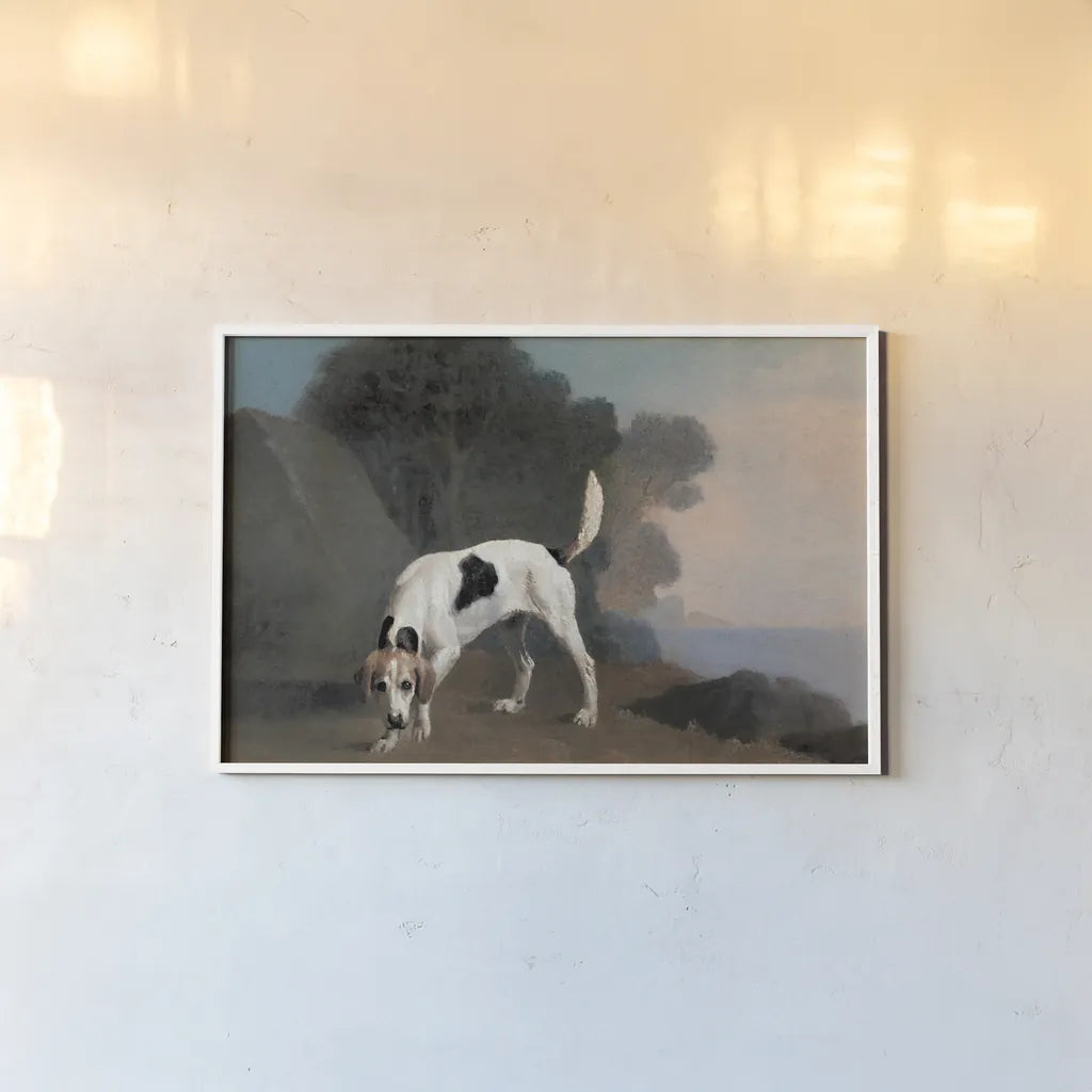 Foxhound by Public Domain. shown as a paper print in a white frame. Available as a archival giclee rolled canvas, fine art paper, or poster print. SKU 95530i.