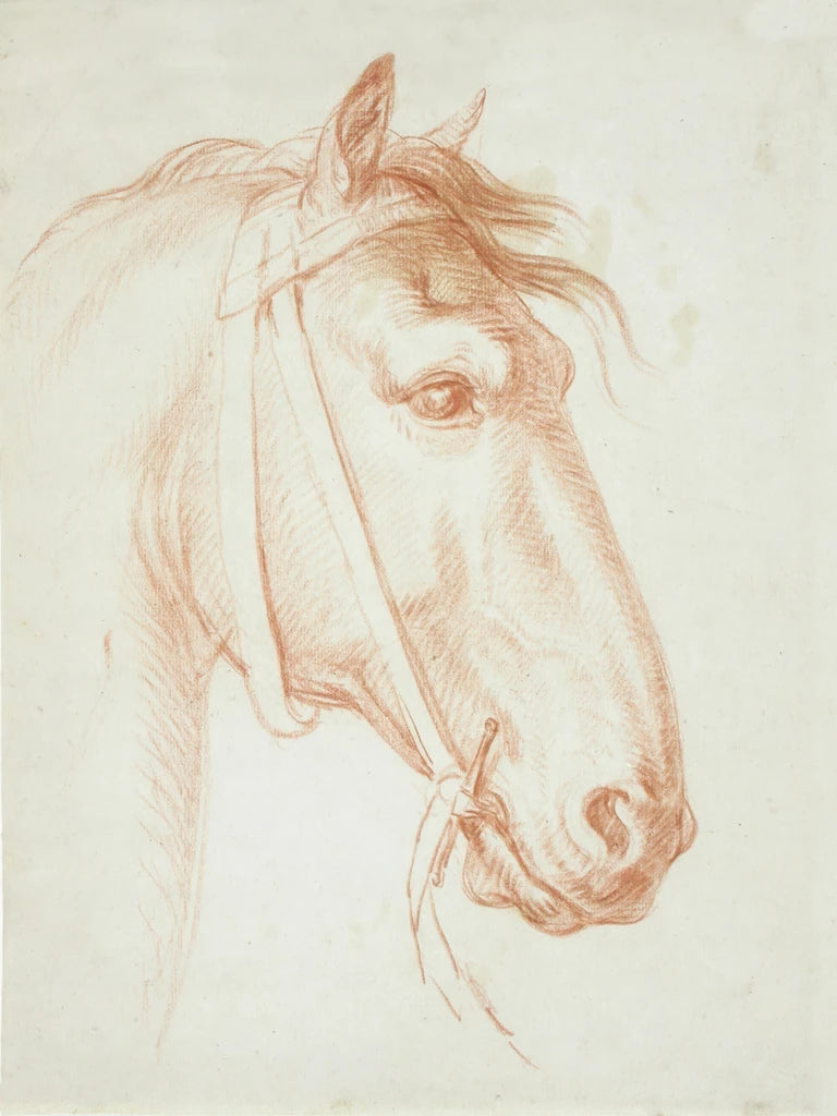 Horses Head by Public Domain