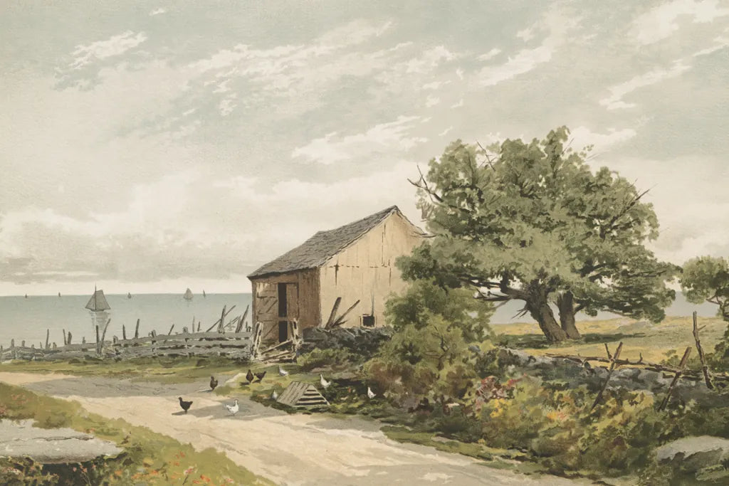 Road to the Shore by Public Domain. SKU 96283i. Archival Giclee Fine art print for wall decor.